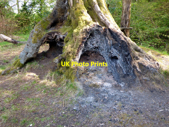 Photo 6"x4" Birkmyre Park, Port Glasgow Port Glasgow c2017 P2