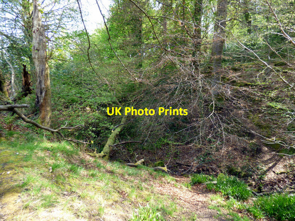 Photo 6"x4" Birkmyre Park, Port Glasgow Port Glasgow c2017 P1