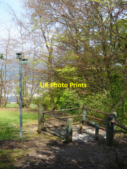 Photo 6"x4" Path in Birkmyre Park Port Glasgow c2017 P1