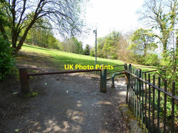 Photo 6"x4" Path in Birkmyre Park Port Glasgow c2017 P2