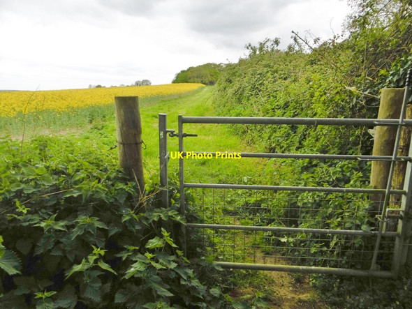 Photo 6"x4" Morden, gate East Bloxworth c2017