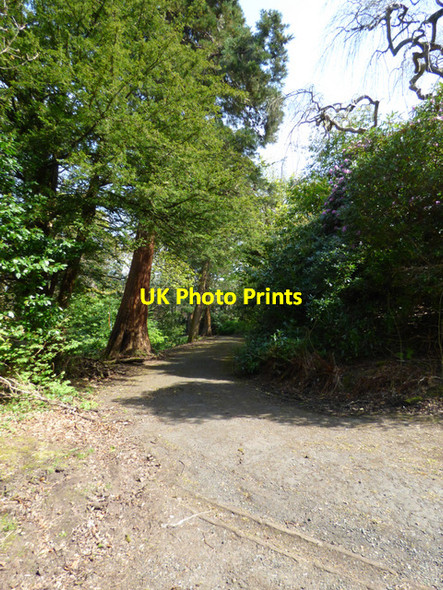 Photo 6"x4" Birkmyre Park, Port Glasgow Port Glasgow c2017 P1