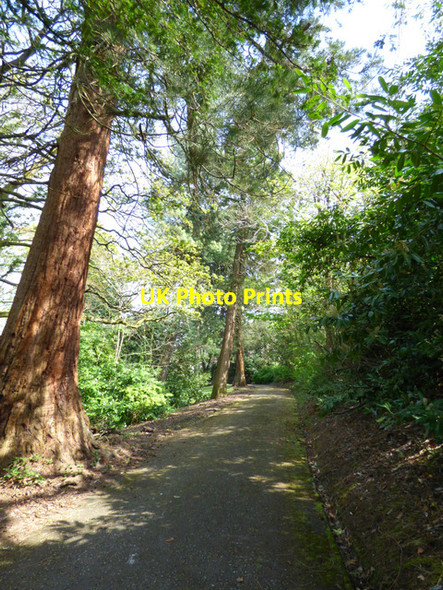 Photo 6"x4" Birkmyre Park, Port Glasgow Port Glasgow c2017 P2