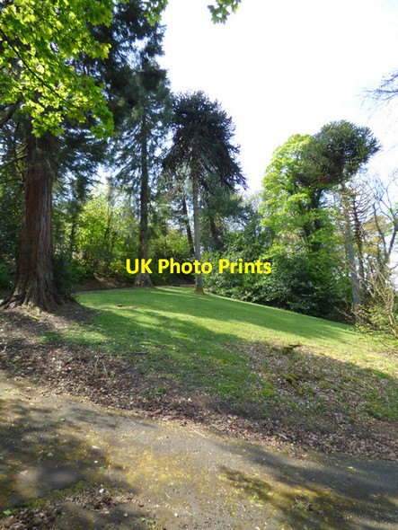 Photo 6"x4" Birkmyre Park, Port Glasgow Port Glasgow c2017