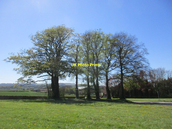 Photo 6"x4" Langton Cross Roads Birdsall c2017