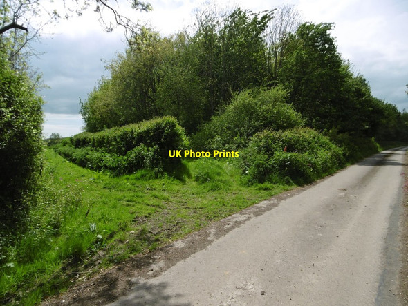 Photo 6"x4" Winterborne Zelston, bridleway junction Winterborne Zelston c2017