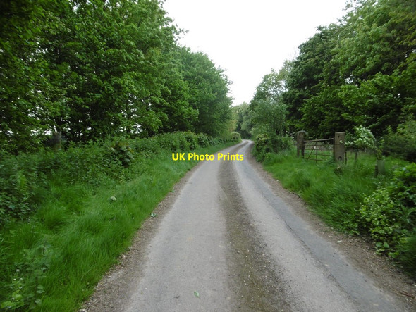 Photo 6"x4" Winterborne Zelston, farm road Winterborne Zelston c2017