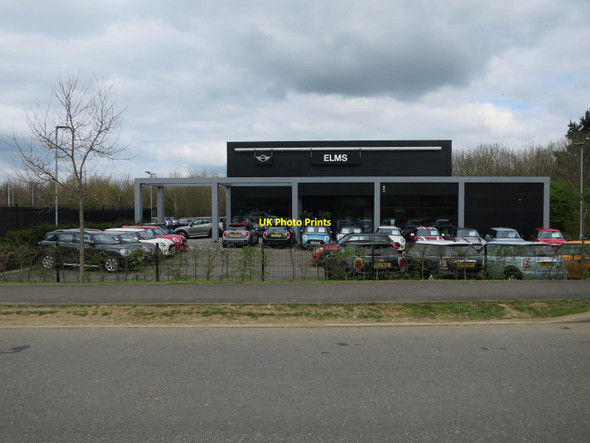 Photo 6"x4" Elms Mini, Cambourne Cambourne c2017