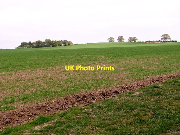 Photo 6"x4" Crop fields on Broom Hill Chedgrave c2017