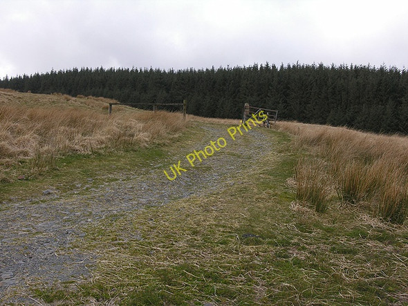 Photo 6"x4" Farm track heading over Ffos Gau Yr Allt\/SN8376 c2009