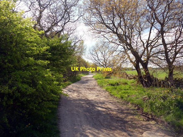 Photo 6"x4" Pole Lane New Mills\/SJ9985 c2017