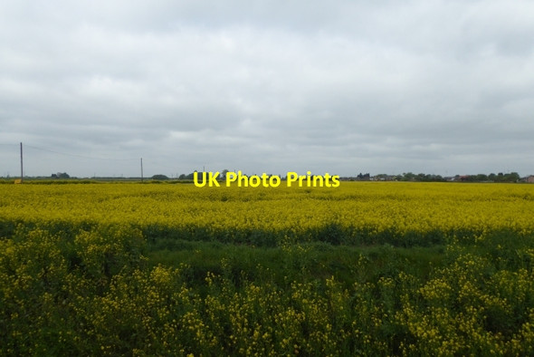 Photo 6"x4" Farmland near Burringham Althorpe c2017
