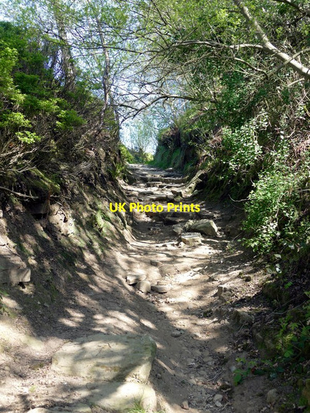 Photo 6"x4" Restricted byway north of Birch Vale Rowarth c2017