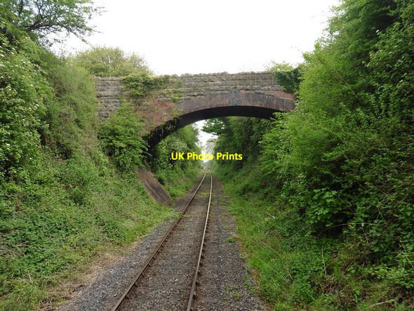 Photo 6"x4" Farm bridge crosses the East Somerset Railway Chelynch c2017