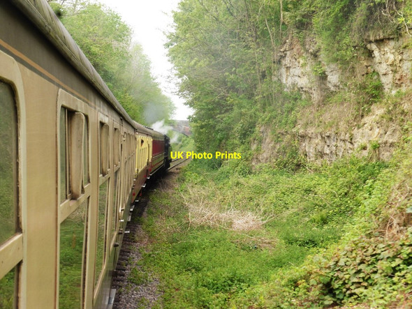 Photo 6"x4" Railway cutting near Doulting Doulting c2017