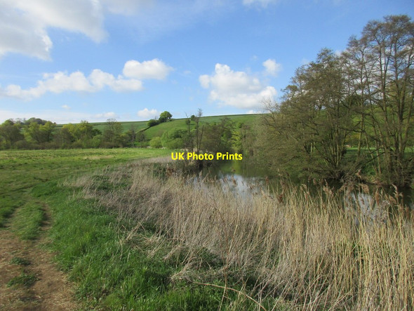 Photo 6"x4" The River Derwent Firby\/SE7466 c2017