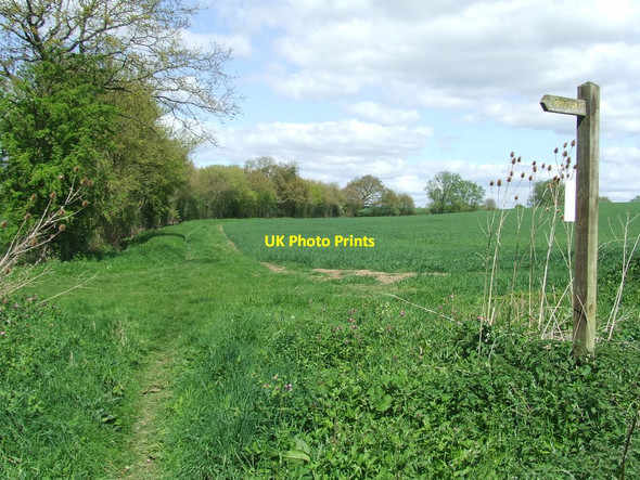 Photo 6"x4" Footpath Sign Duck End\/TL6833 c2017