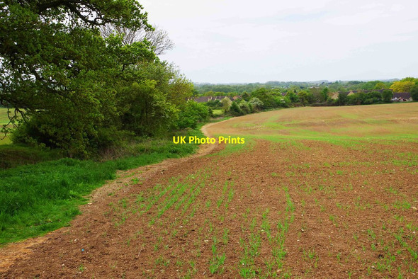 Photo 6"x4" Footpath along edge of field, near Cogges, Witney, Oxon Witney c2017