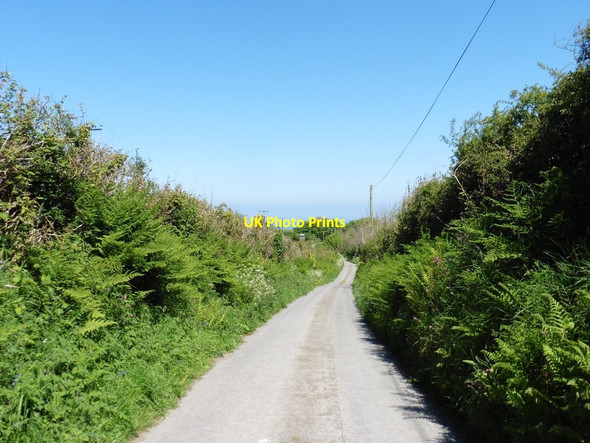 Photo 6"x4" Shaftsboro Lane Higher Warcombe c2017