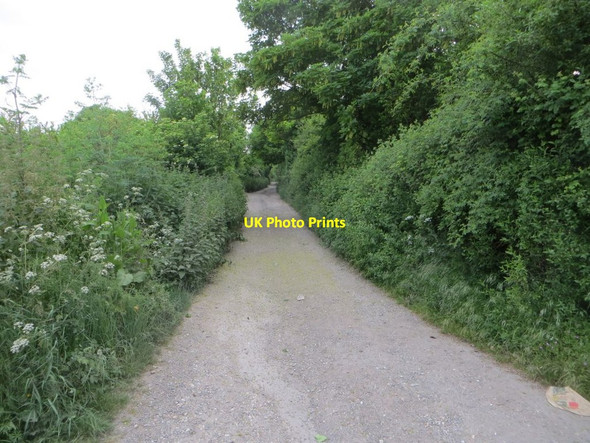 Photo 6"x4" Track on Kingstanding Hill Moulsford c2016