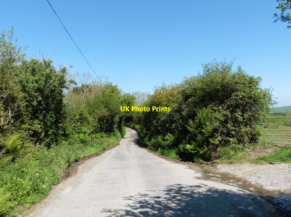 Photo 6"x4" Warcombe Lane Higher Warcombe c2017