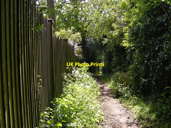Photo 6"x4" Staffs Way Scene Seisdon c2017
