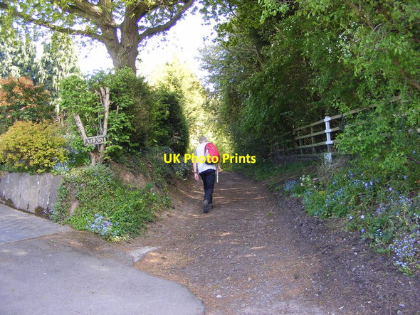 Photo 6"x4" Church Lane Path Seisdon c2017