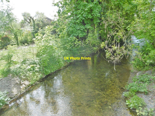 Photo 6"x4" Laverstock, River Bourne Salisbury c2017
