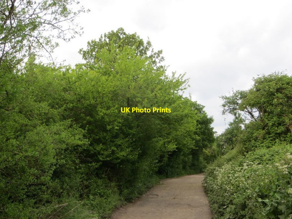 Photo 6"x4" Disappearing Track Moulsford c2016