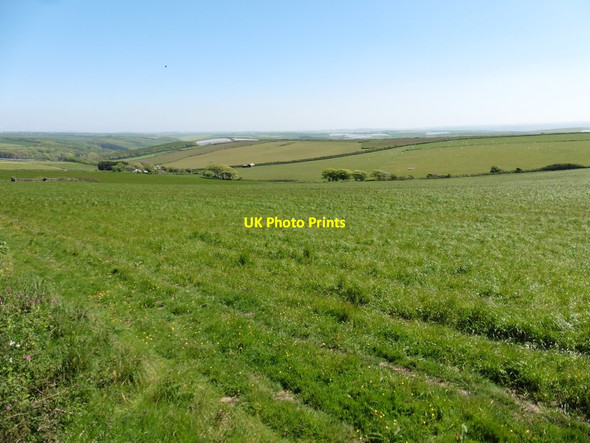 Photo 6"x4" Mains Down North Buckland c2017