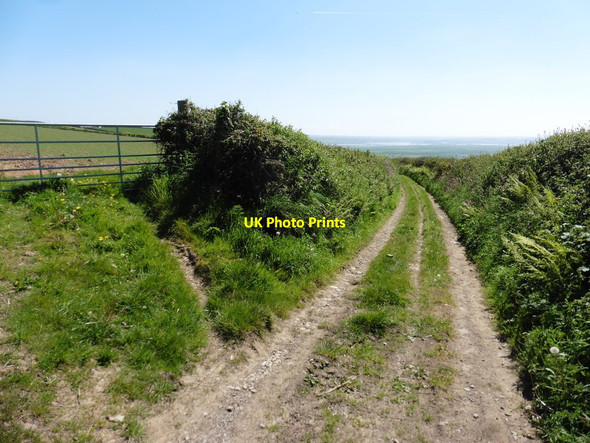 Photo 6"x4" Track to North Lobb Darracott\/SS4739 c2017