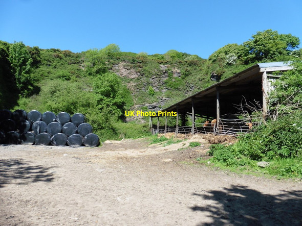 Photo 6"x4" Former quarry near Fairlinch Lobb c2017