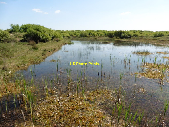 Photo 6"x4" Pond on Braunton Burrows Velator c2017 P1