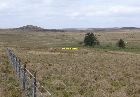 Photo 6"x4" Well maintained fence running toward Black Stitchel Otterburn Camp c2017