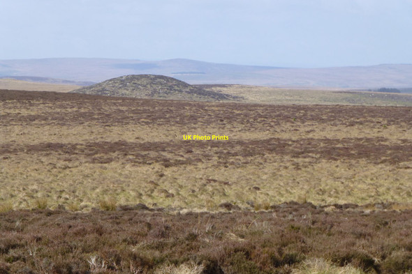 Photo 6"x4" Across the moor from Rushy Knowe Dod Hill\/NT9100 c2017