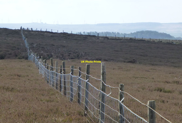 Photo 6"x4" Fences converge on Stony Shank Dod Hill\/NT9100 c2017