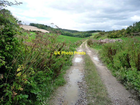 Photo 6"x4" Track from Crypt Farm Cocking c2011