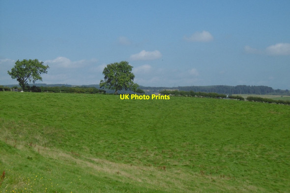 Photo 6"x4" Fields, Drumquhassle Croftamie c2016
