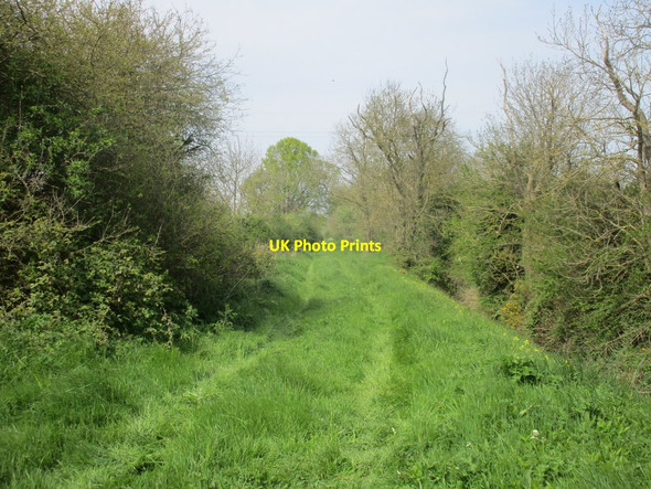 Photo 6"x4" Bridleway to Wykeham Potter Brompton c2017 P1