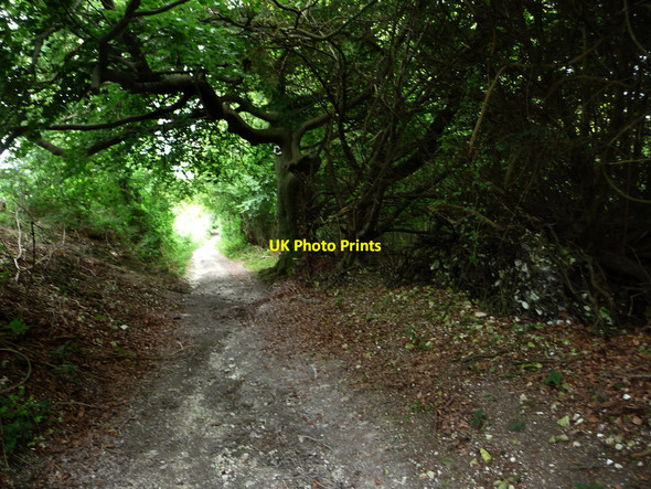 Photo 6"x4" Track on Bepton Down Cocking c2011