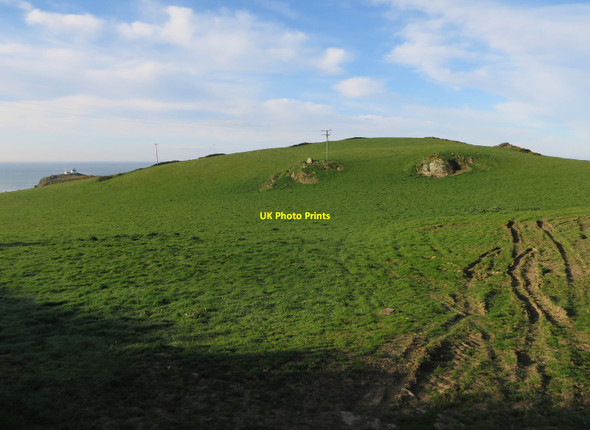 Photo 6"x4" Field near Prawle Point East Prawle c2017