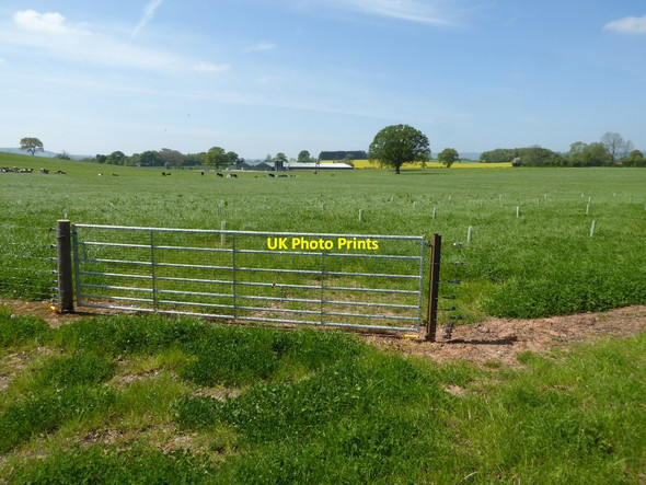 Photo 6"x4" Farmland and new farm buildings Middleton\/SO5469 c2017