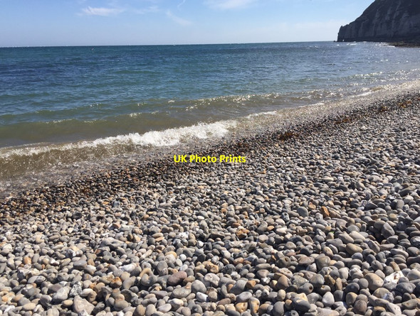Photo 6"x4" Beer beach Seaton\/SY2490 c2017