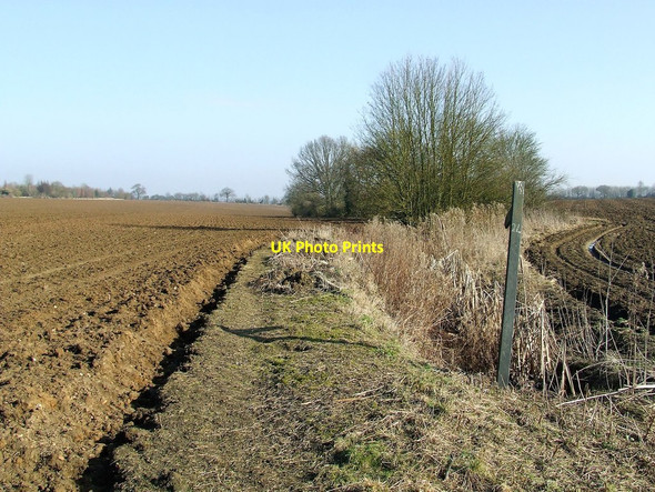 Photo 6"x4" Footpath And Sign Almshouse Green\/TL7533 c2017