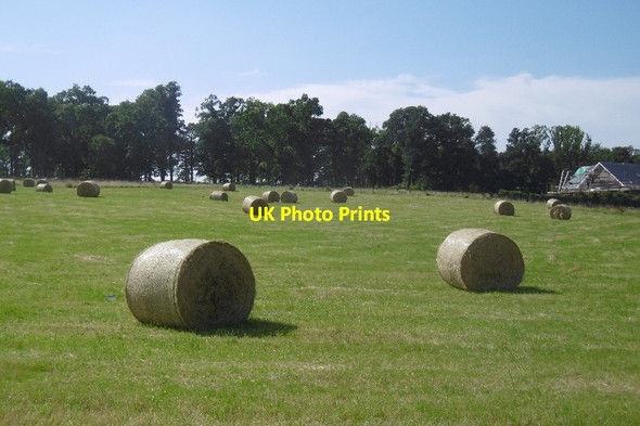 Photo 6"x4" Round bales, Badshalloch Badshalloch c2016