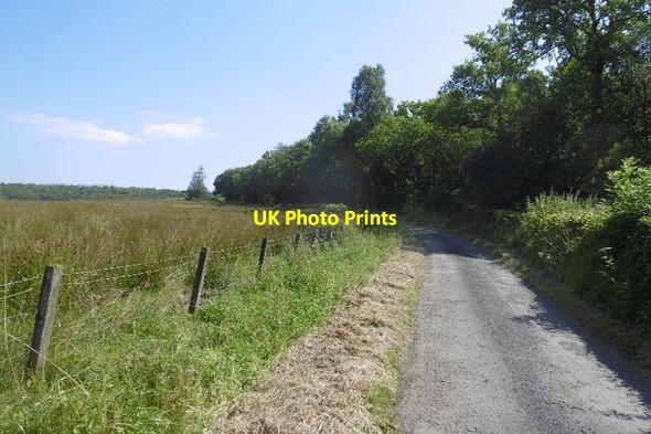 Photo 6"x4" Craigintier Wood Badshalloch c2016