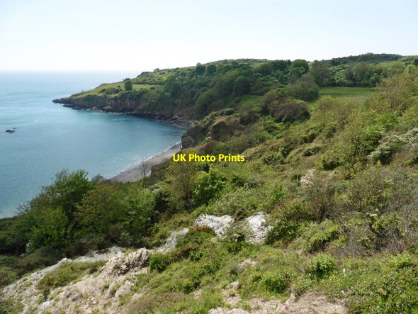 Photo 6"x4" Sharkham Point Brixham c2017