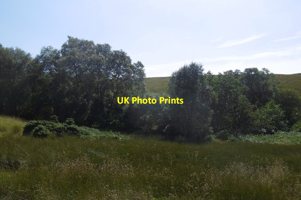 Photo 6"x4" Rashy ground by the Dualt Burn Craighat c2016