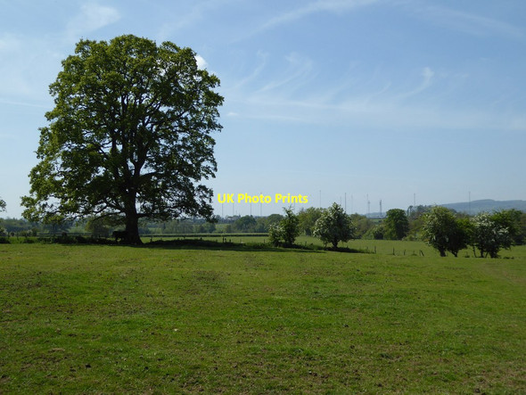 Photo 6"x4" Farmland at Ashford Carbonell Ashford Carbonell c2017