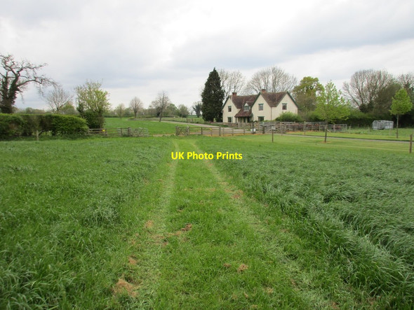 Photo 6"x4" Approaching the end of a bridleway from Wappenham Woodend\/SP6149 c2017